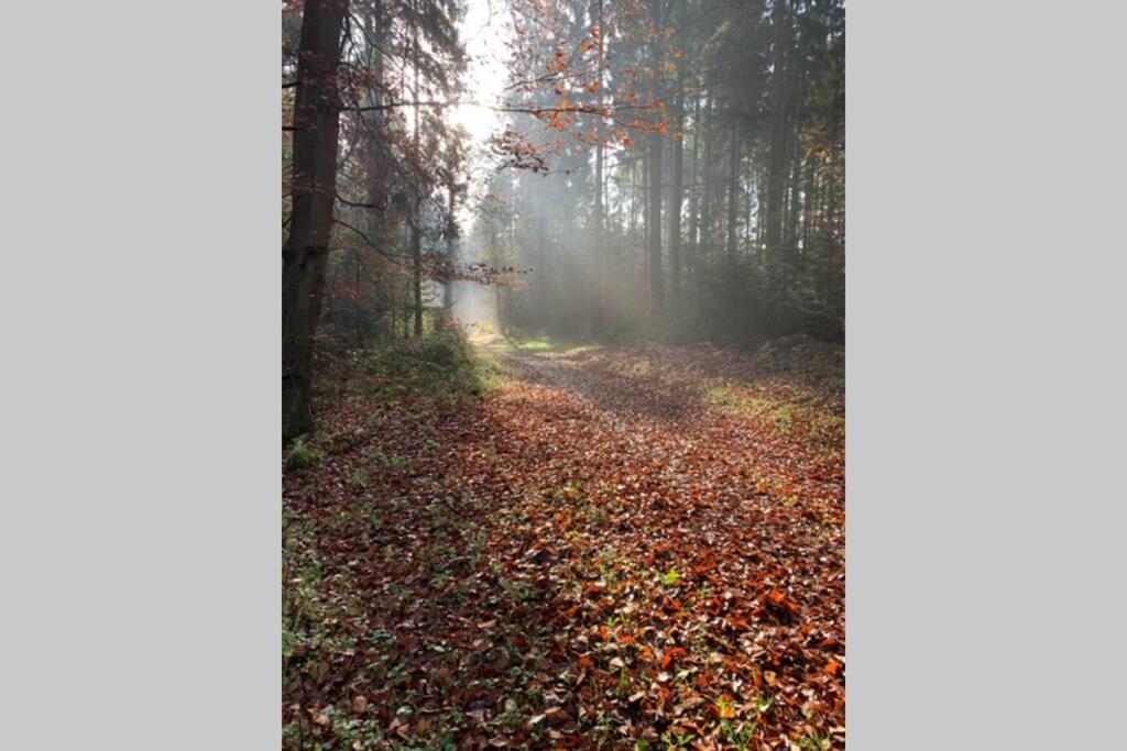 Ferienwohnung Schmidt Rosengarten  Zewnętrze zdjęcie