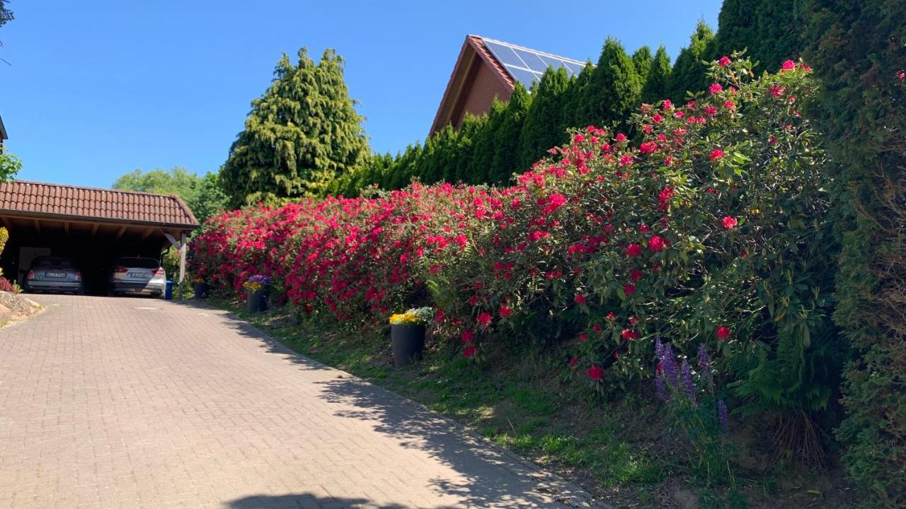 Ferienwohnung Schmidt Rosengarten  Zewnętrze zdjęcie